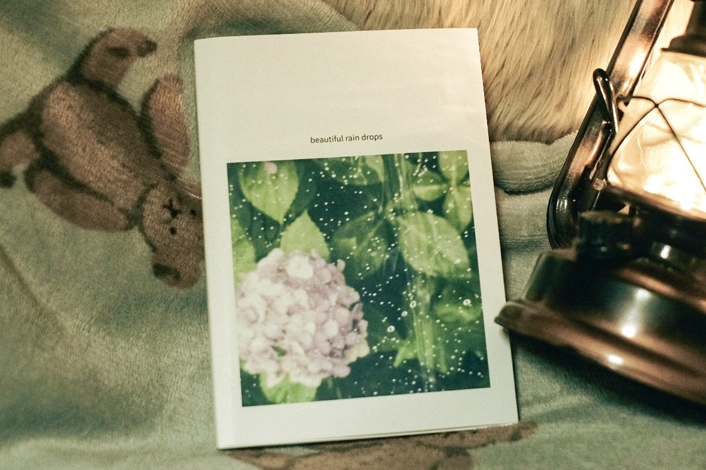 beautiful rain drops