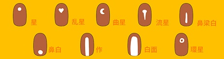 ウマネイルオプションー流星