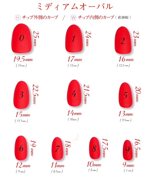 ウマネイル用サンプルチップ