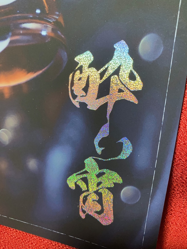 コスプレ写真集【酔い宵】