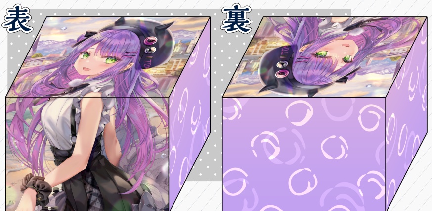 【旧作合皮デッキケース】トワ