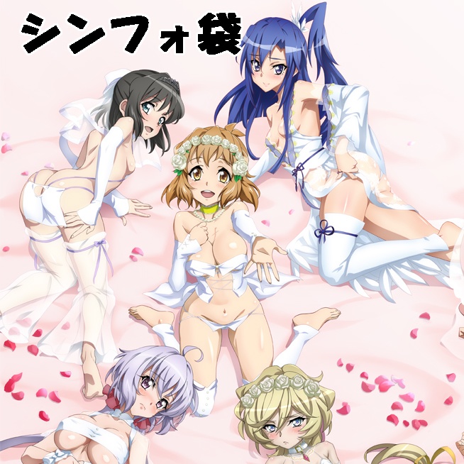 シンフォギア袋【緑】