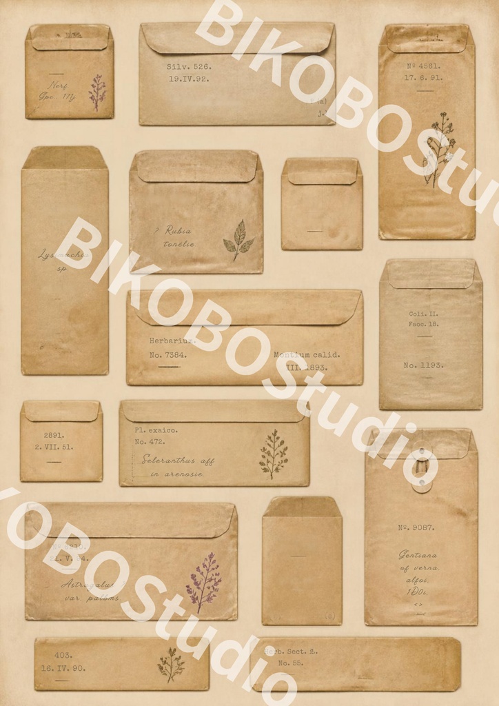 FORGOTTEN BOTANY|存在しない植物標本室の記録|アンティークコラージュ素材 12枚セット