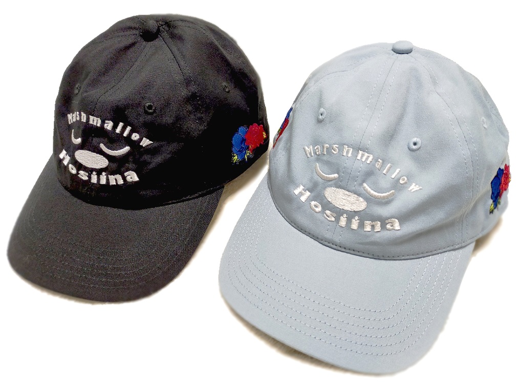 205号室イメージキャップ