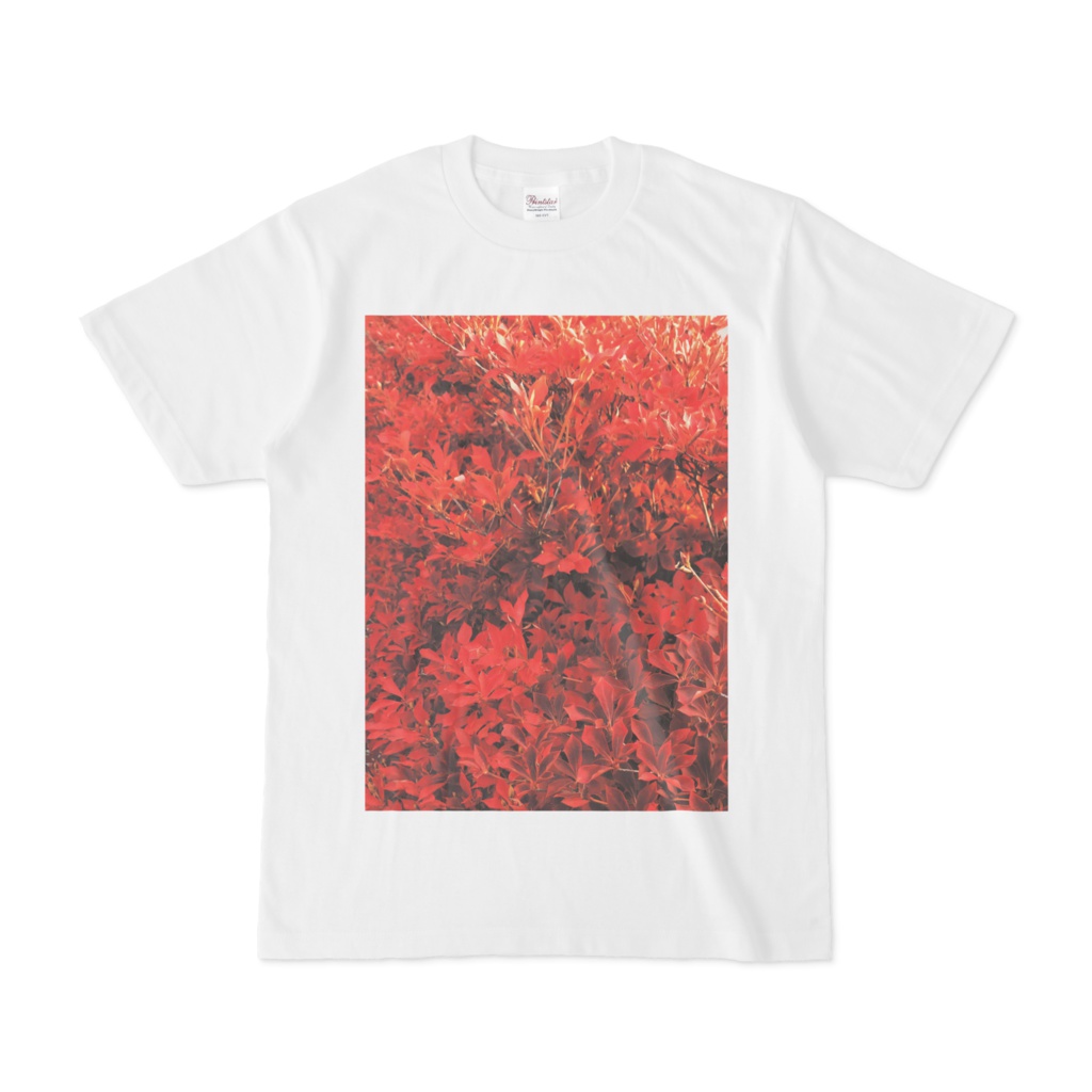 紅葉Tシャツ