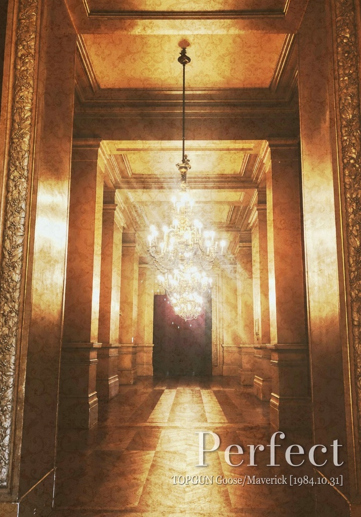 Perfect（匿名配送）