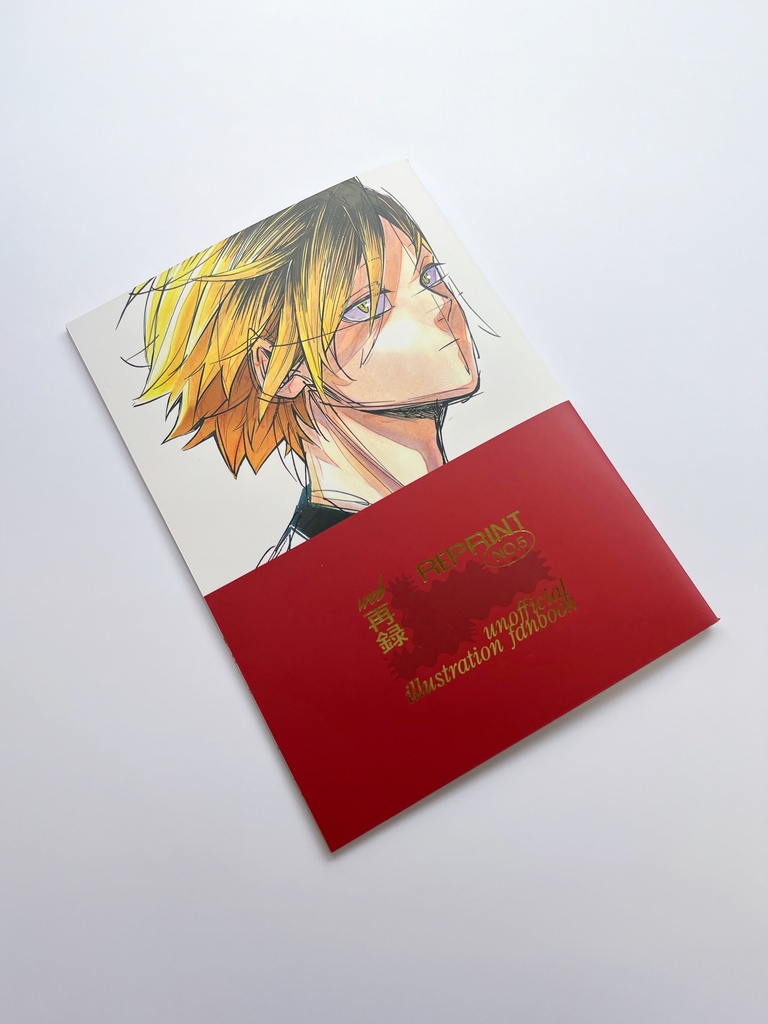REPRINT NO.5
