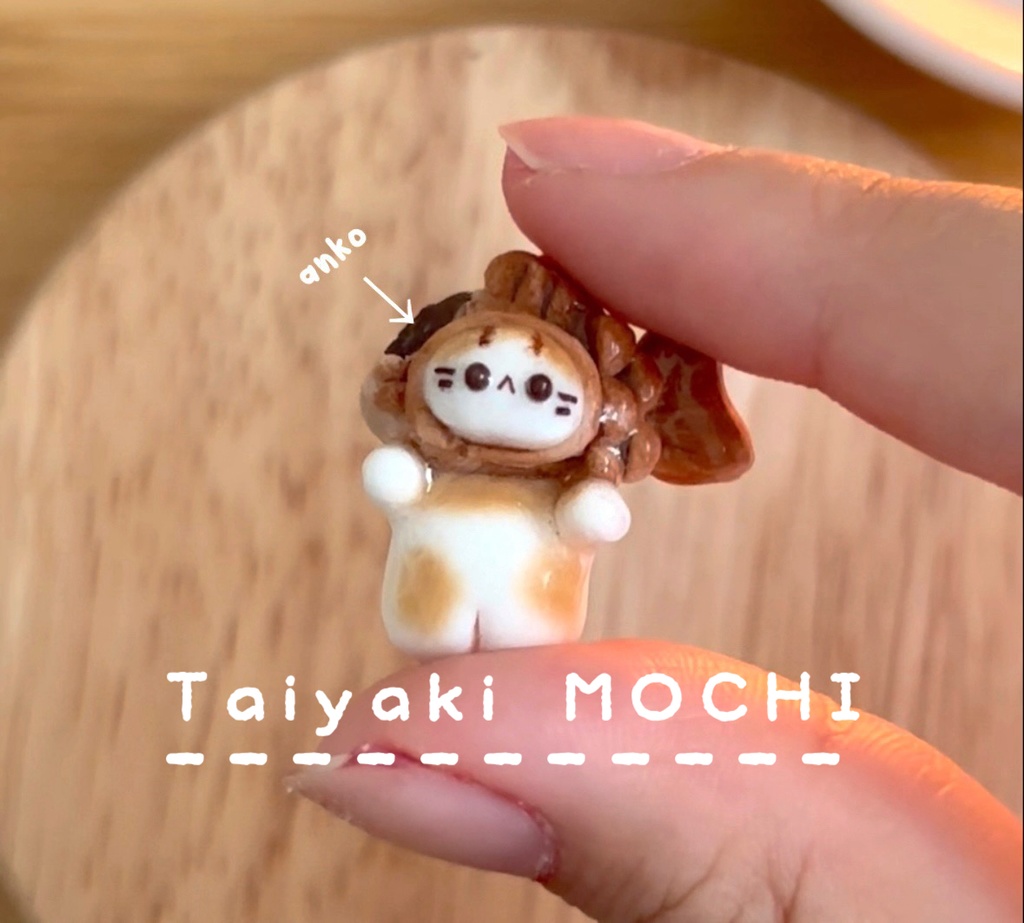 Taiyaki mochi (º э)З