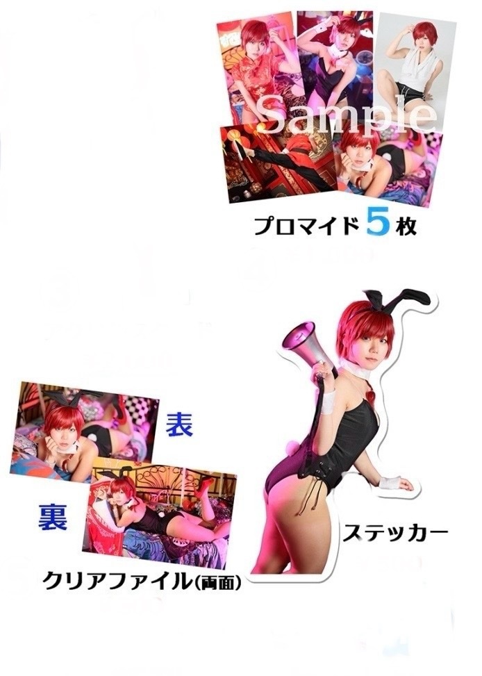 らんま1/2 コスプレ　ブロマイド・クリアファイル・ステッカー3点セット