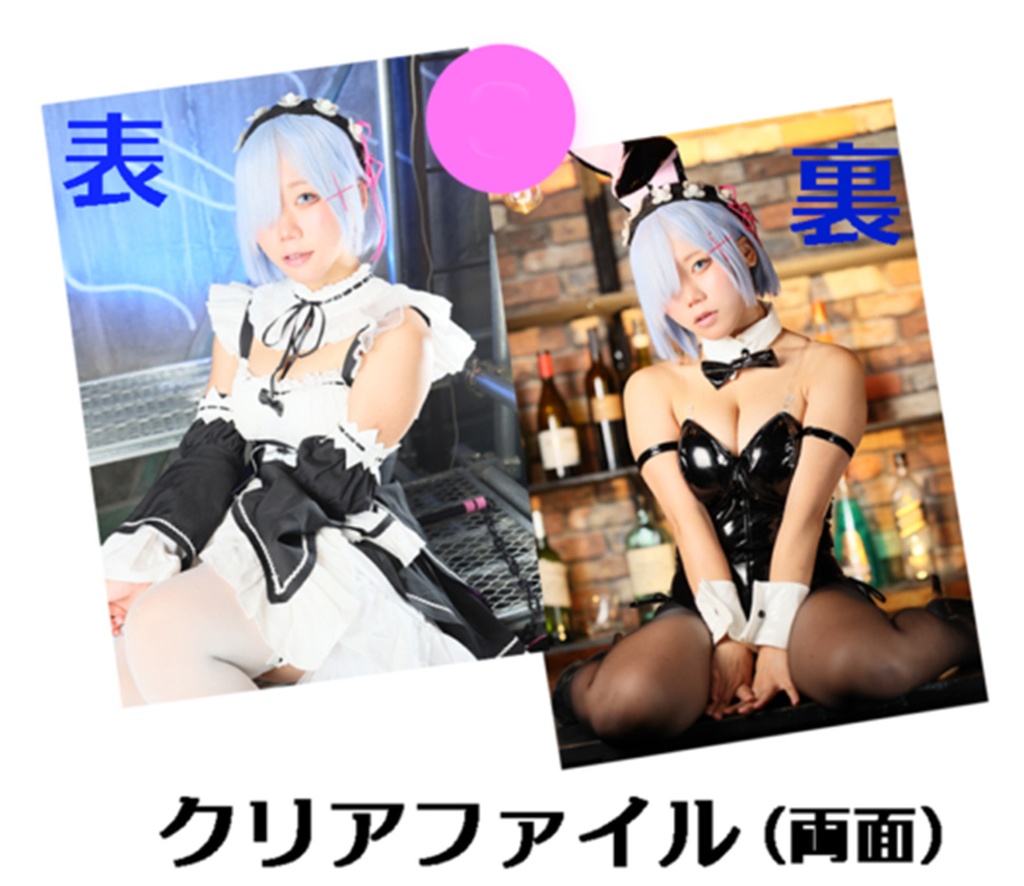 C107 Re:ゼロ レム コスプレ クリアファイル