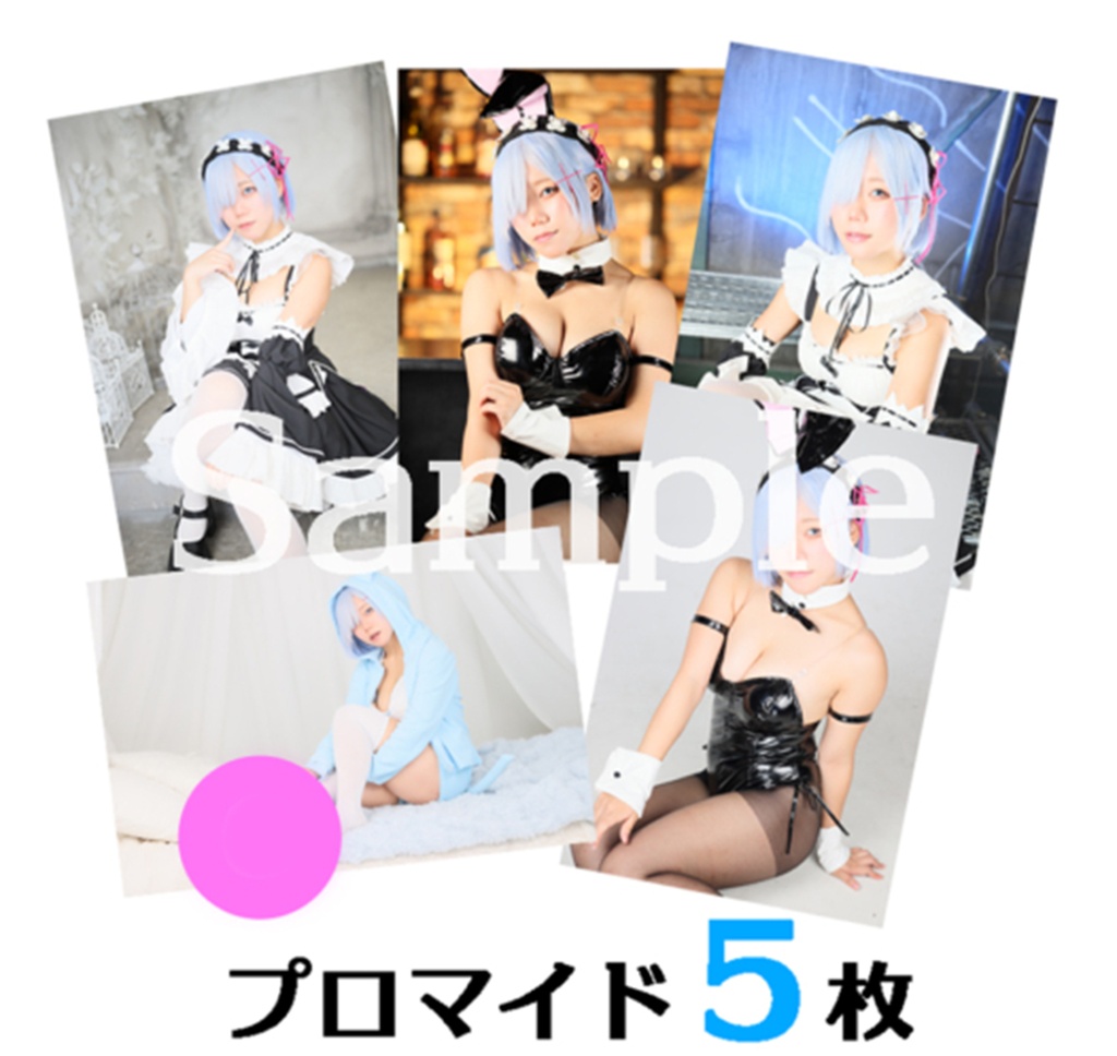 C107 Re:ゼロ レム コスプレブロマイド５枚セット