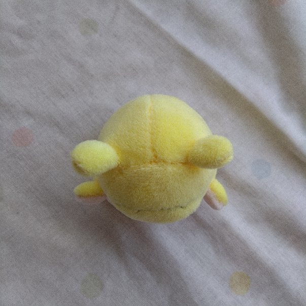 かくしちゃんぬいぐるみ2号