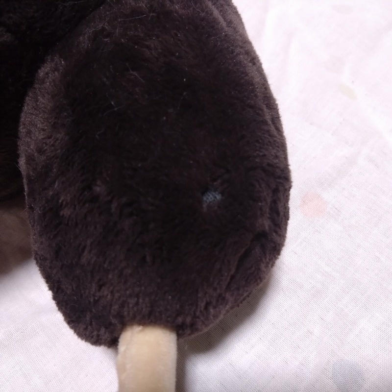 あの日のキーウィ(もふedition)