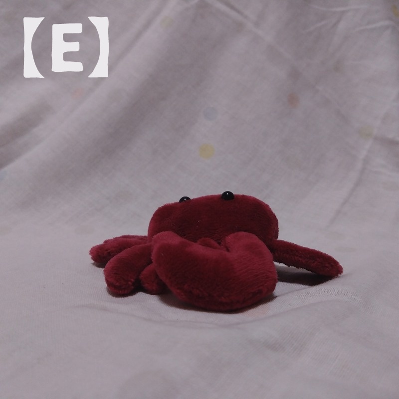 シオマネキぬいぐるみ