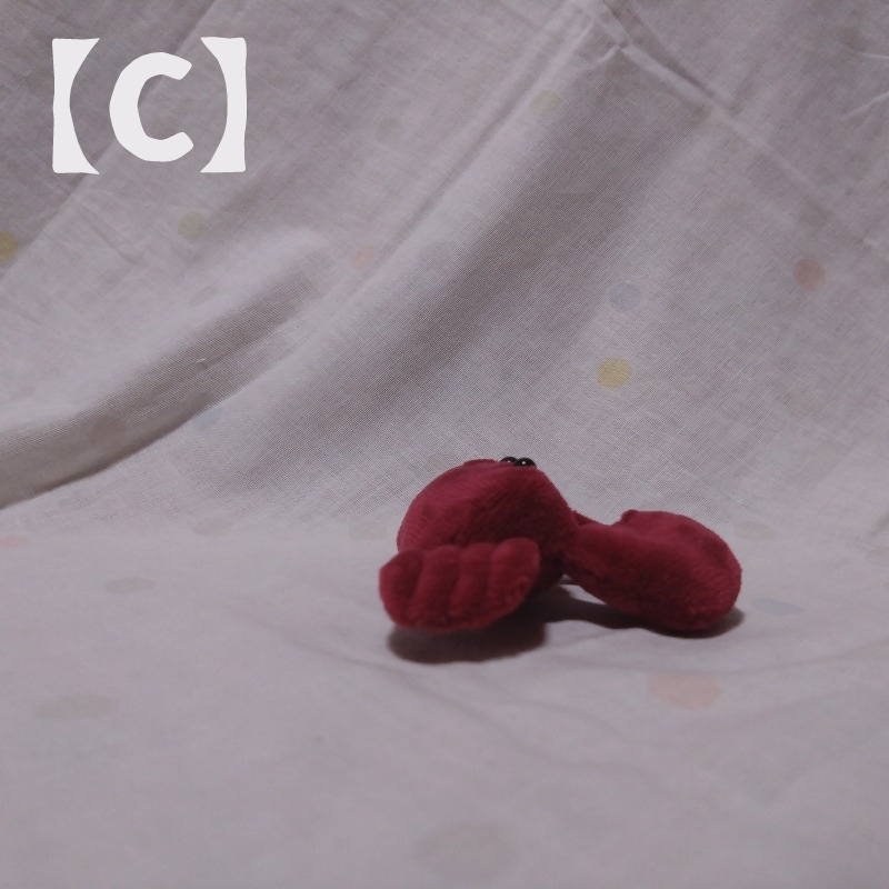 シオマネキぬいぐるみ