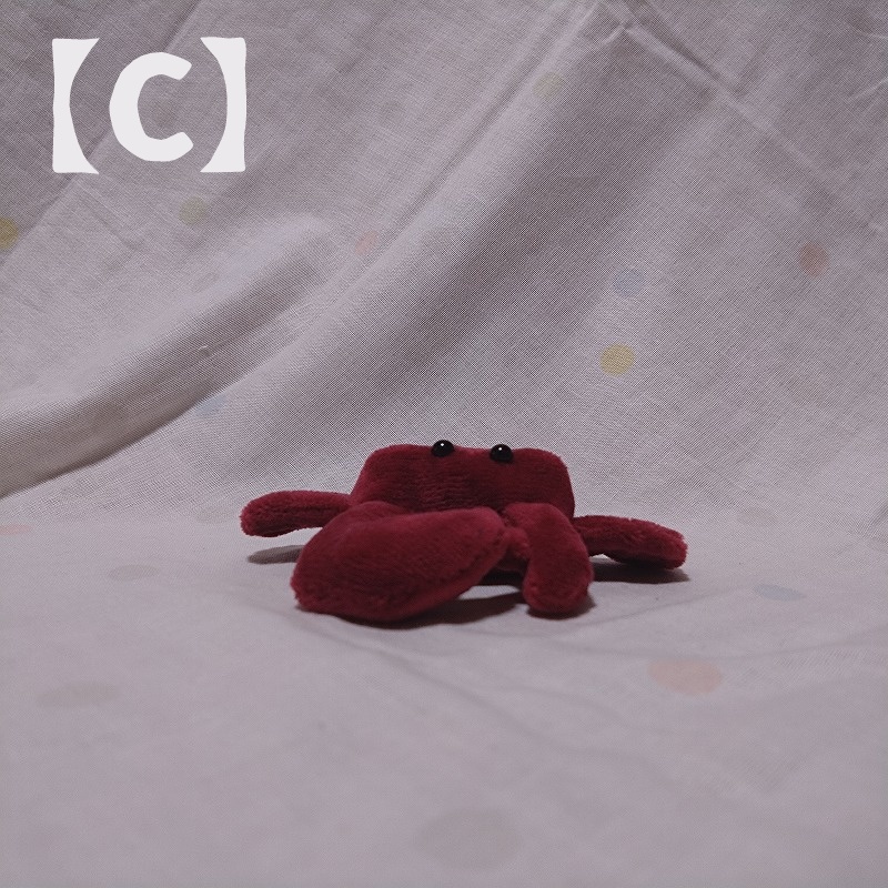 シオマネキぬいぐるみ