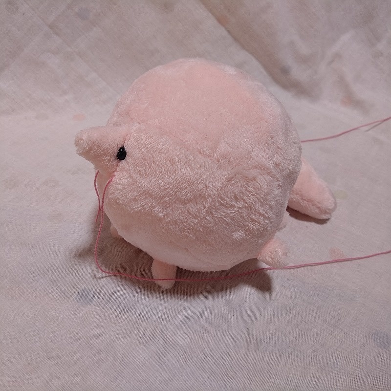 球えびぬいぐるみ