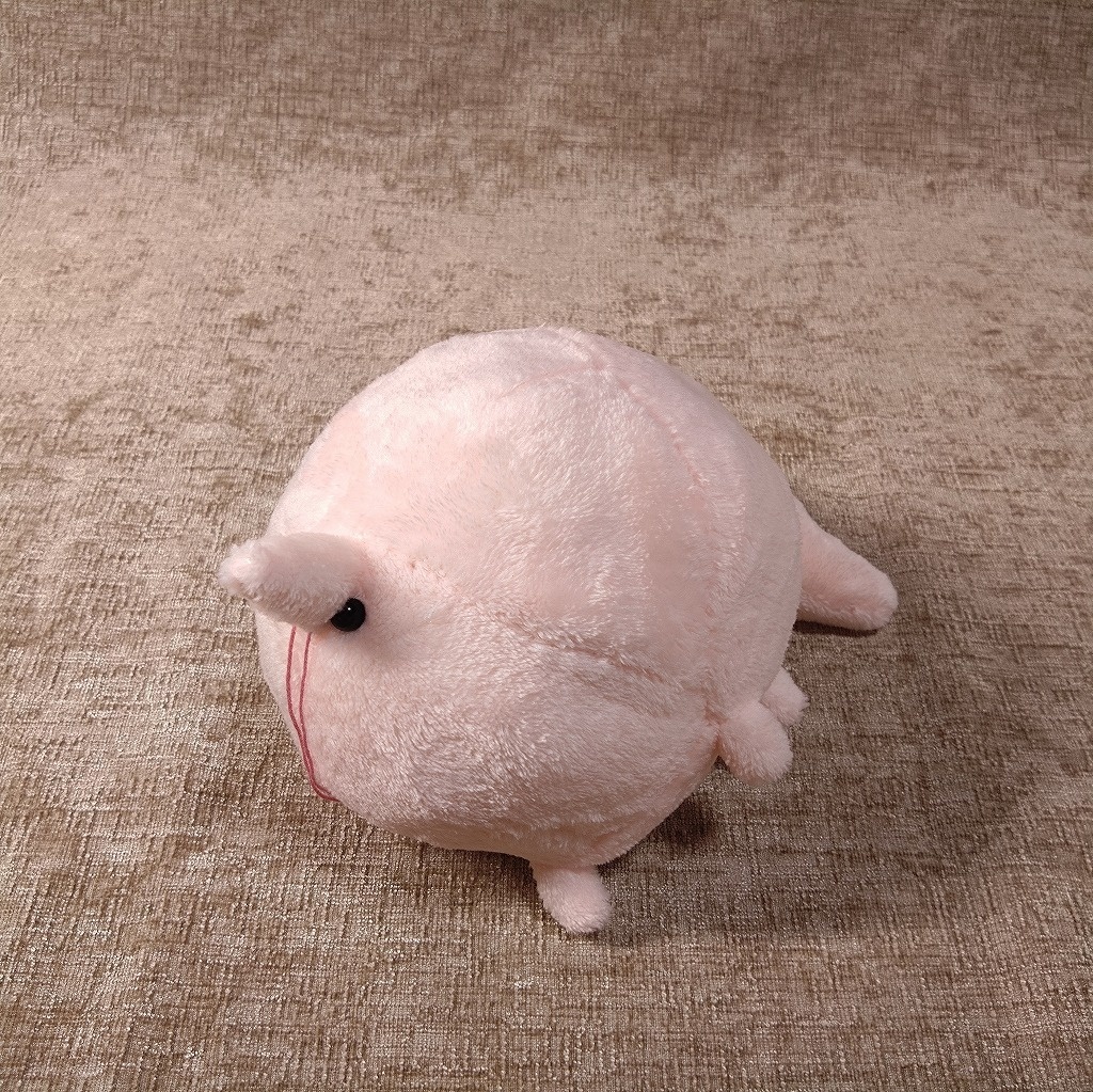 球えびぬいぐるみ