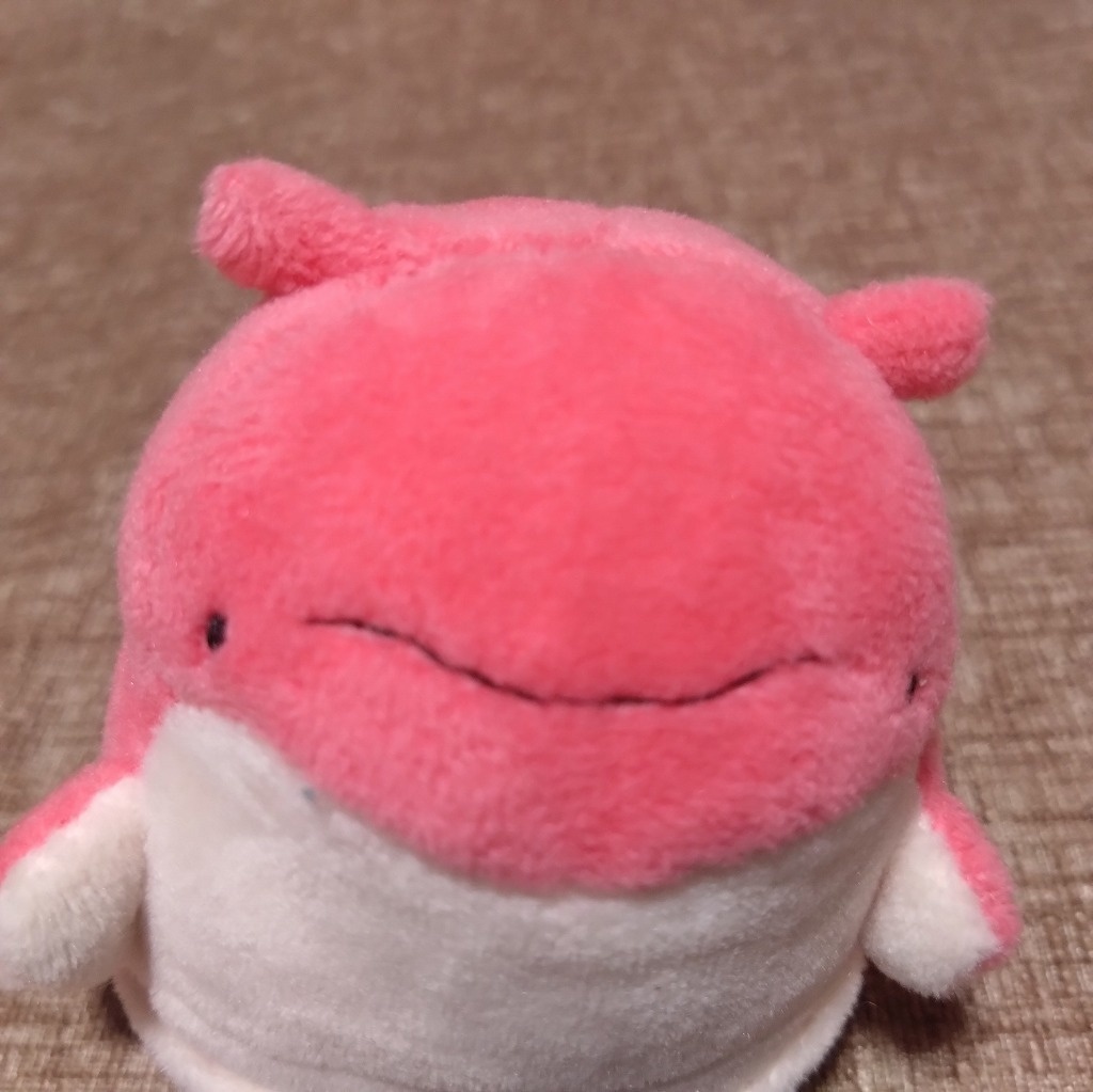 ぽっけちゃんぬいぐるみ