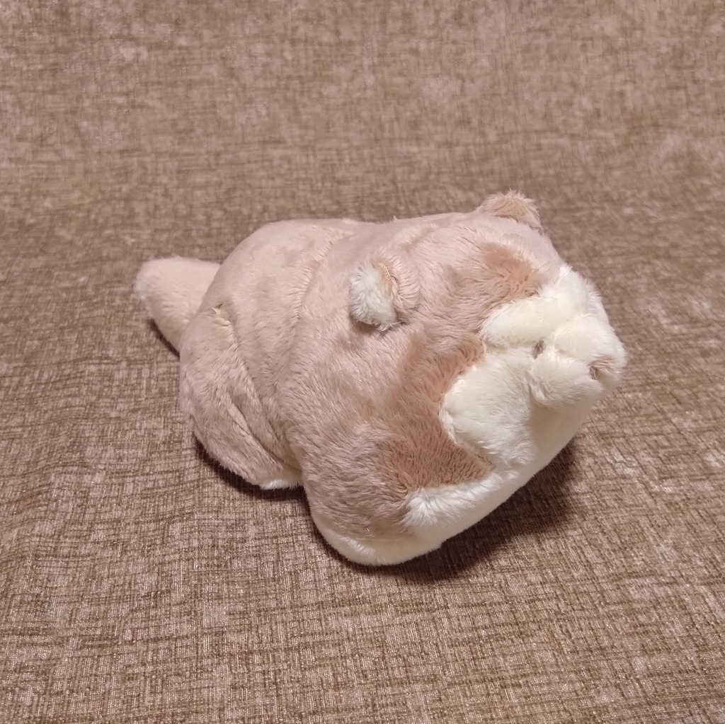 アラスカンマラミュートベビーぬいぐるみ