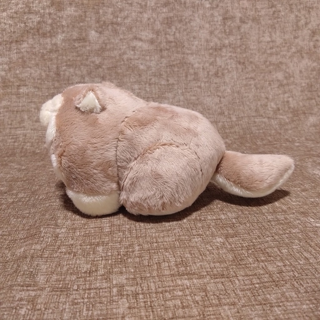 アラスカンマラミュートベビーぬいぐるみ