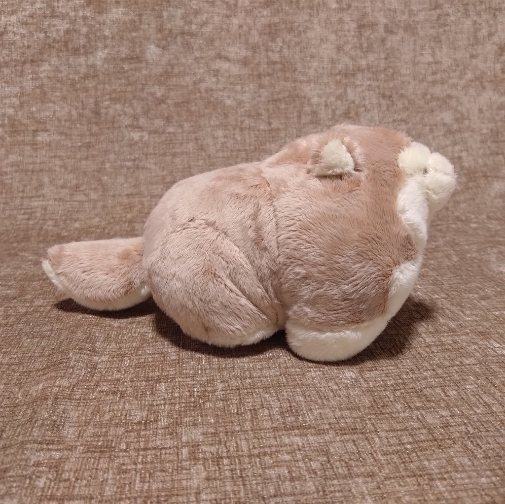 アラスカンマラミュートベビーぬいぐるみ