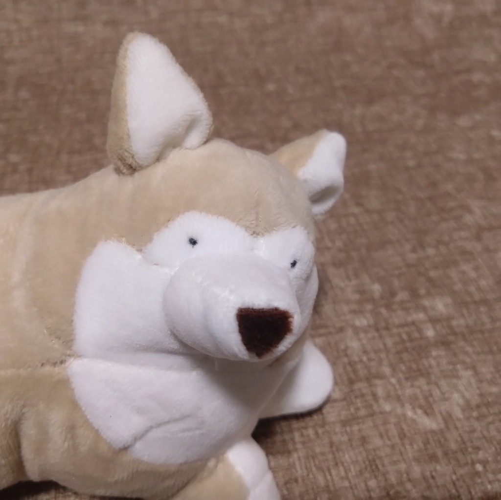 寝転ぶ犬ぬいぐるみ