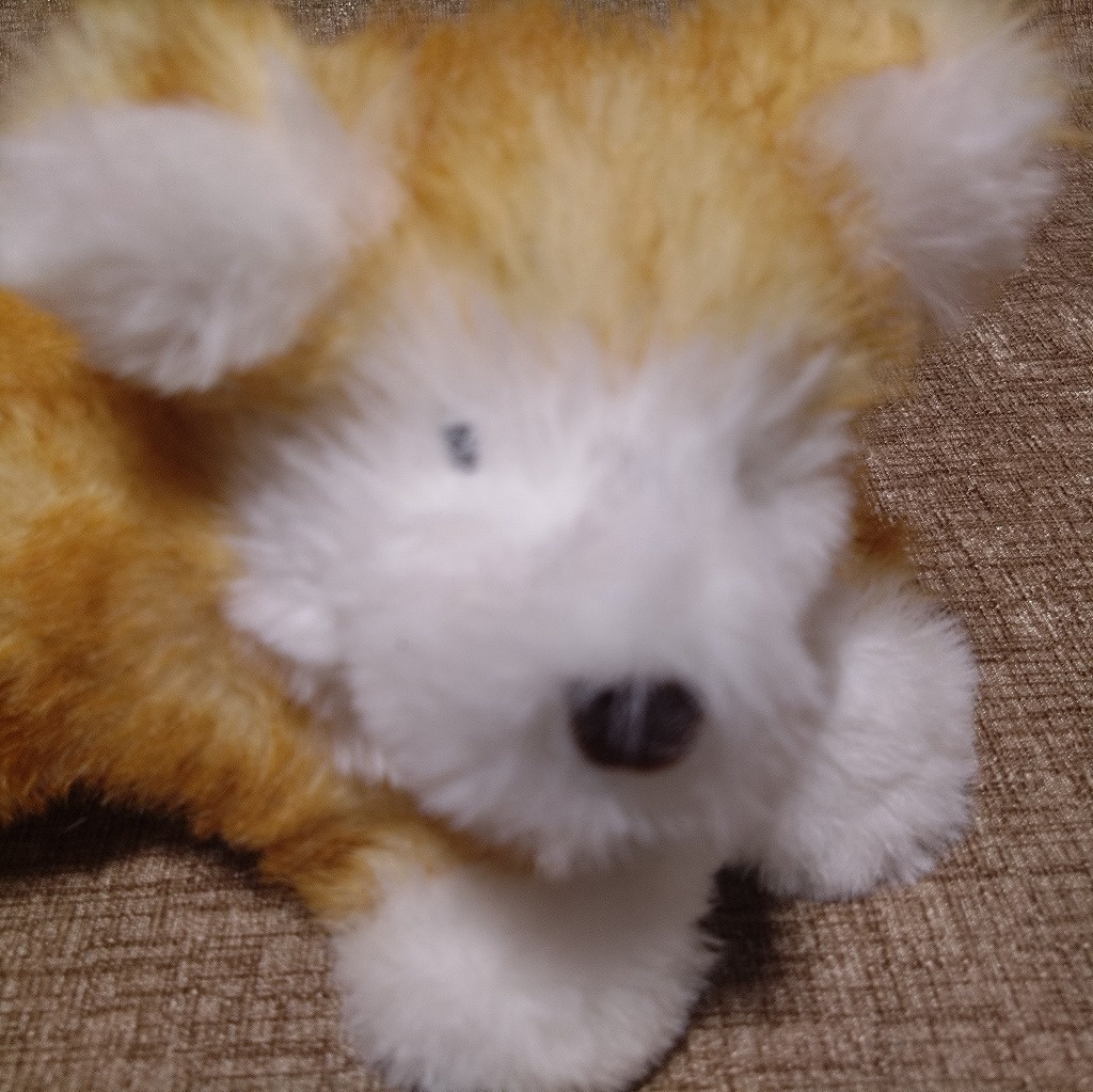 寝転ぶ犬ぬいぐるみ