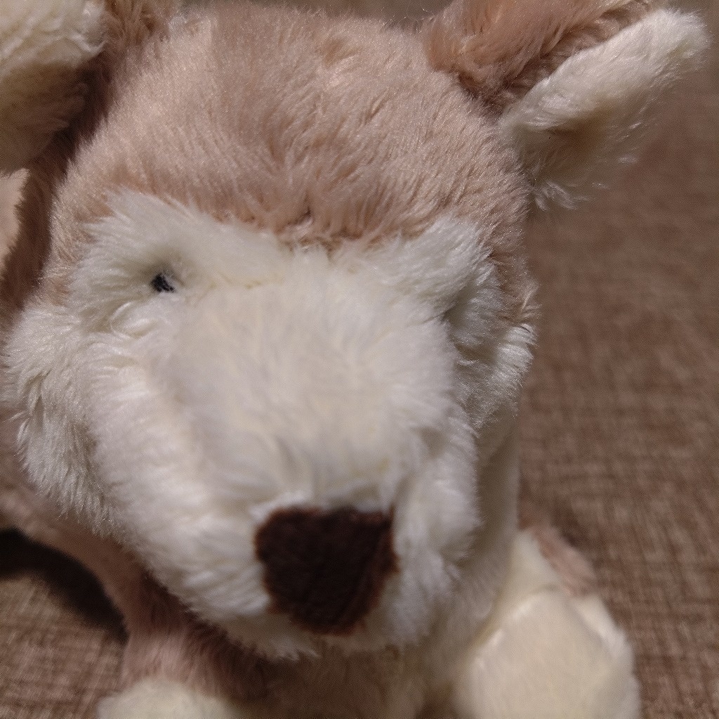 寝転ぶ犬ぬいぐるみ