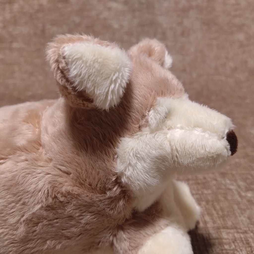 寝転ぶ犬ぬいぐるみ