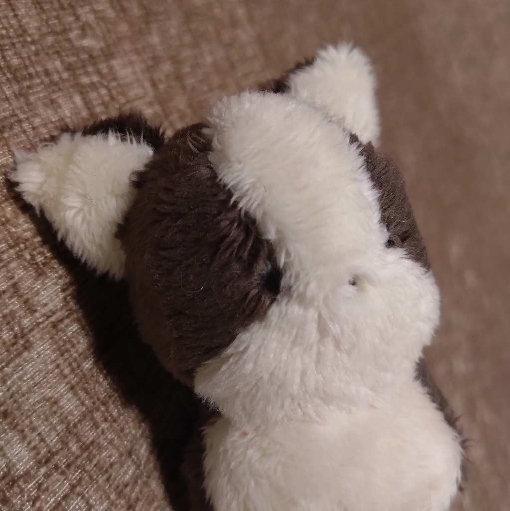 ちいさき犬ぬいぐるみ