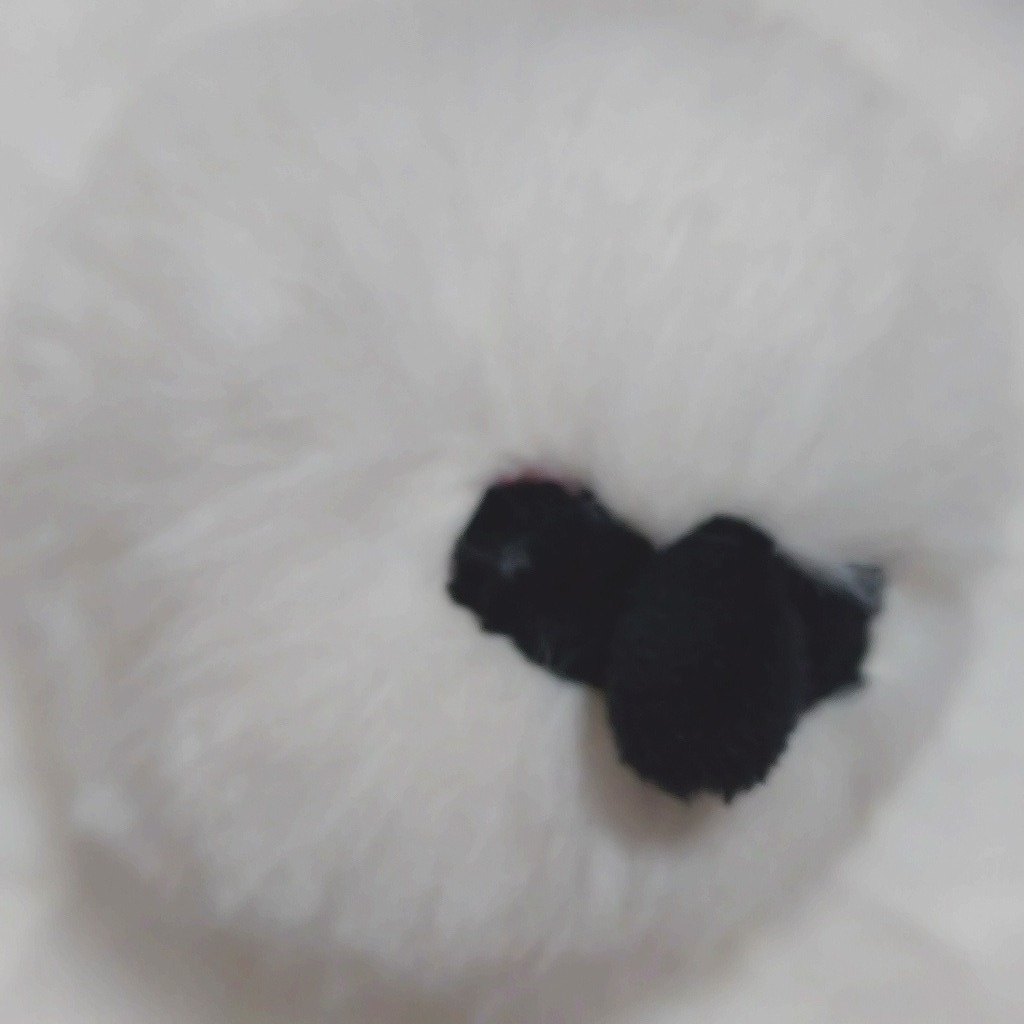 冬ライチョウぬいぐるみ(もふedition)
