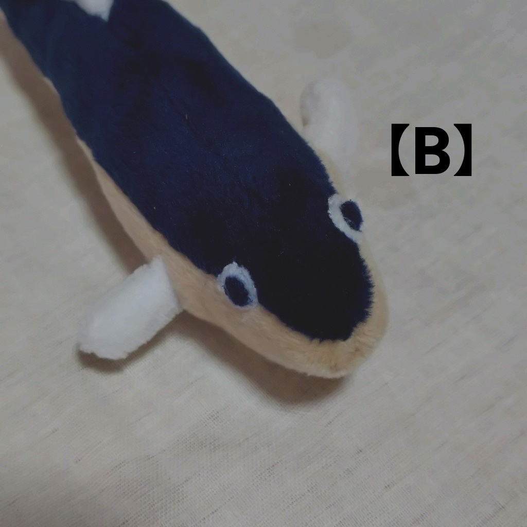 川魚ぬいぐるみ