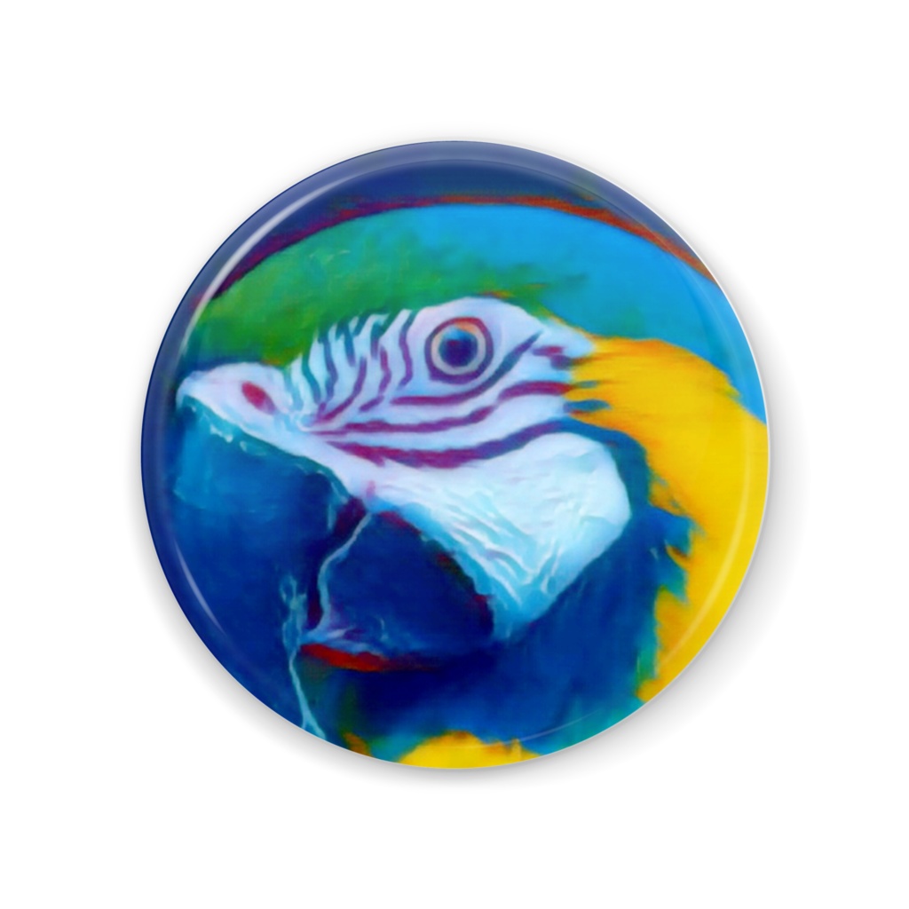 見つめるインコ