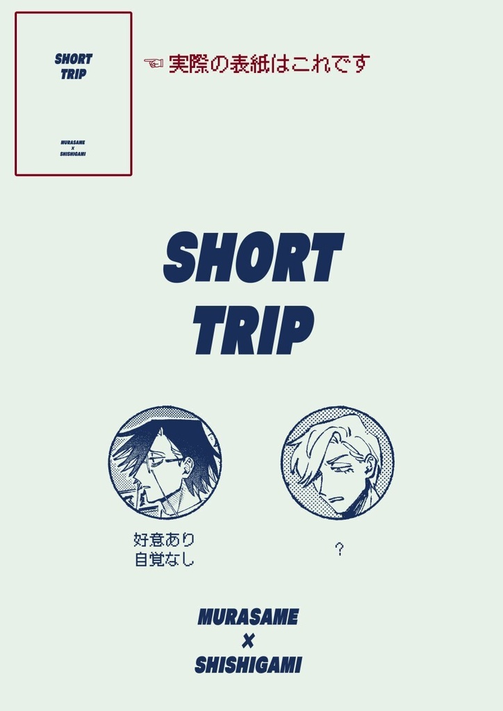 SHORT TRIP