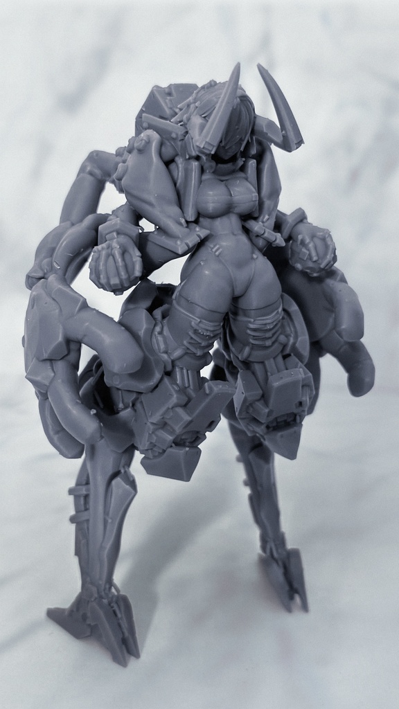 CF-5381-06 ガランス