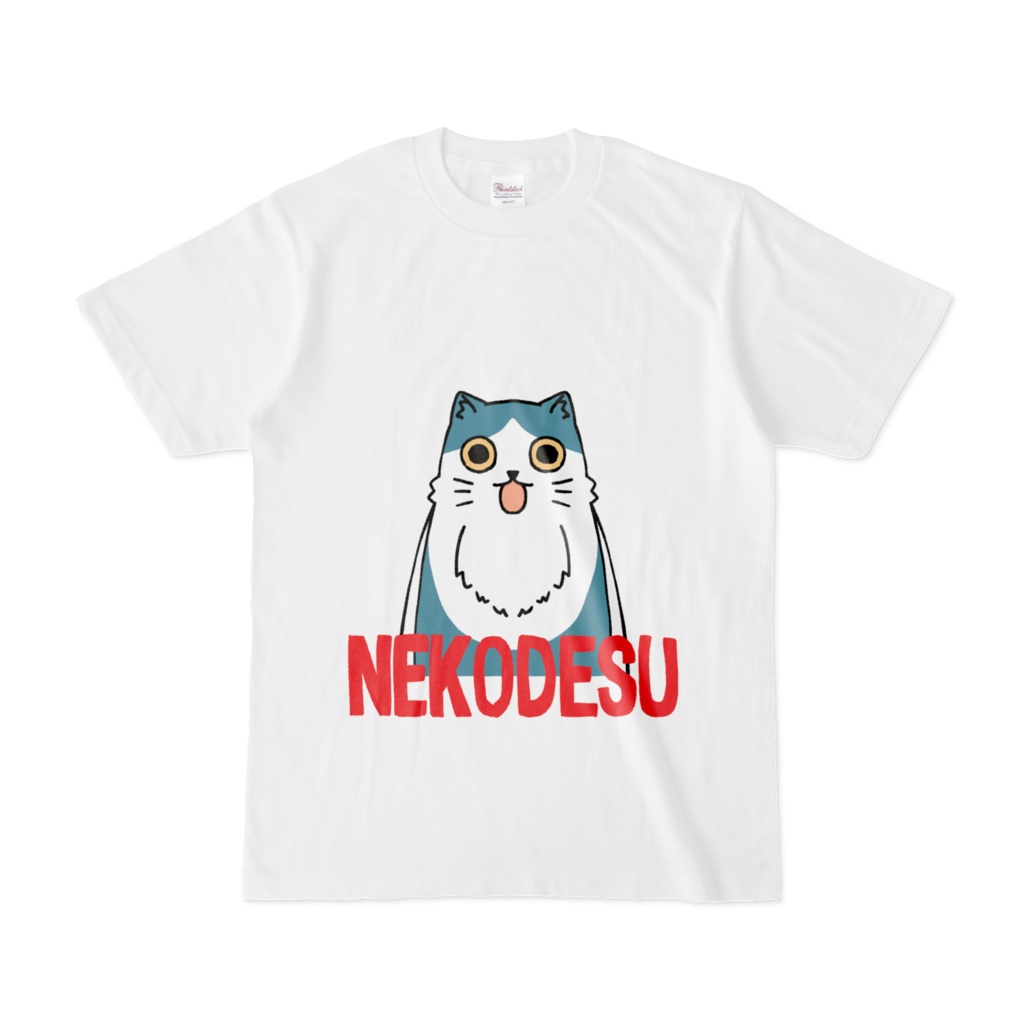 本物の猫ですT