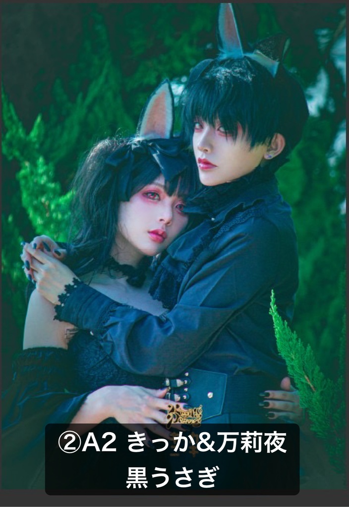 創作双子 布ポスター