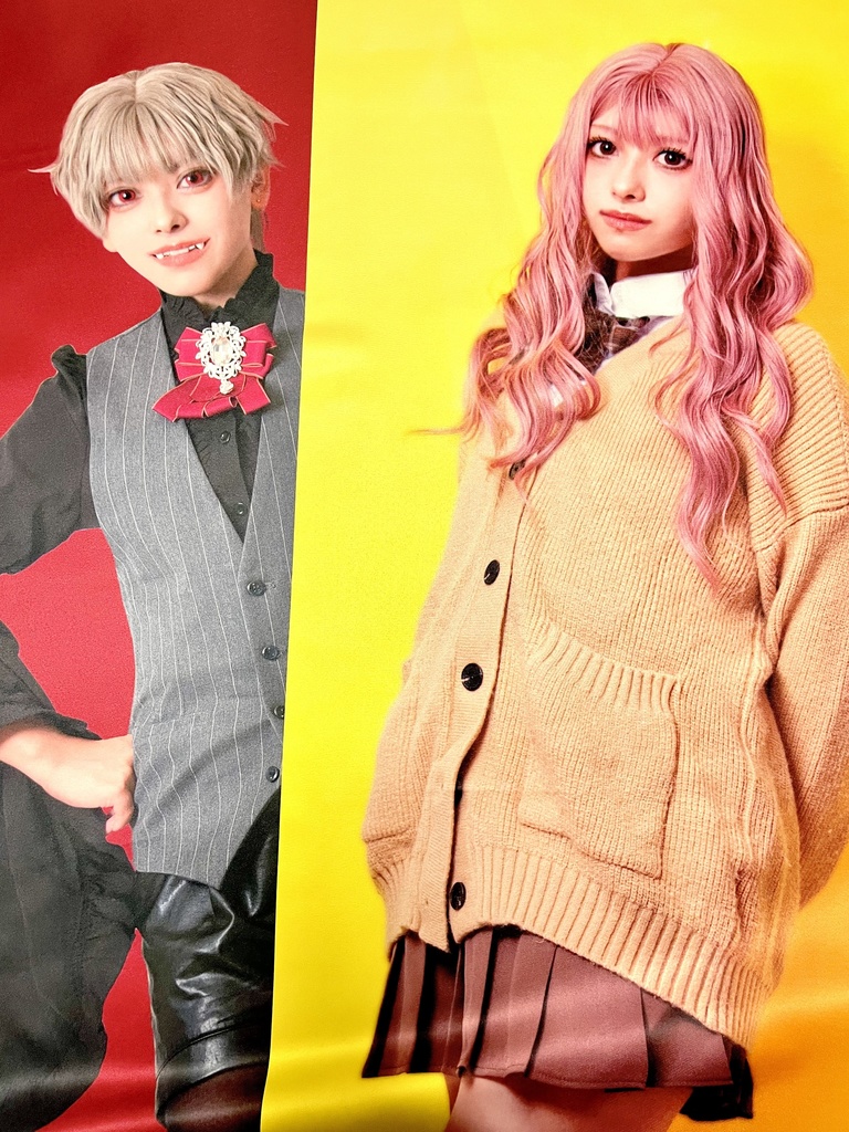 【受注生産3/3まで】チェキ会 布ポスター