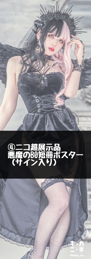 ニコ超2024展示布ポスター