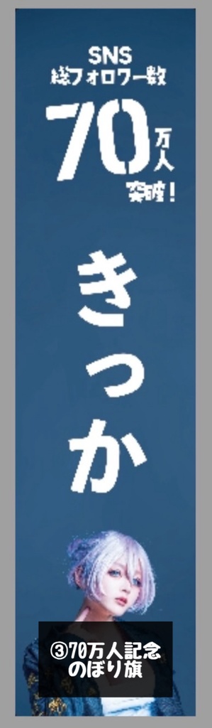 ニコ超2024展示布ポスター