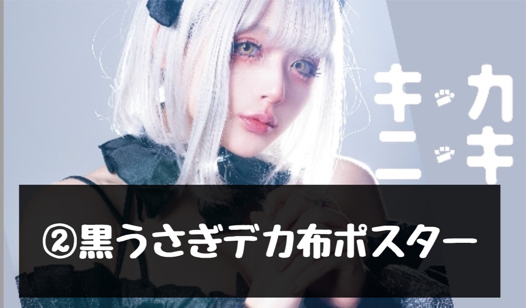 ニコ超2024展示布ポスター