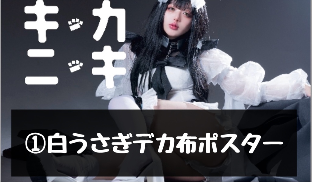 ニコ超2024展示布ポスター