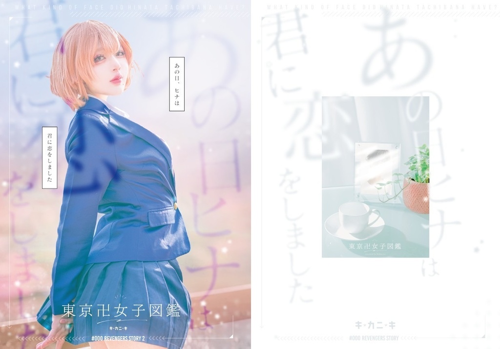 再現中心写真集「あの日、ヒナは君に恋をしました」