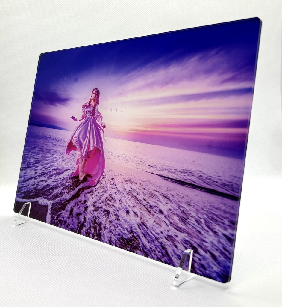 ガンダムSEEDアクリルパネル