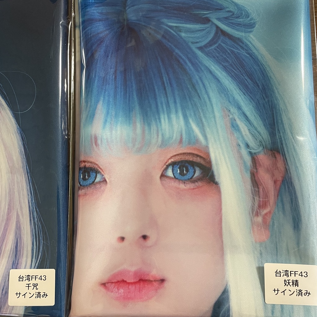 台湾FF43 会場展示ポスター