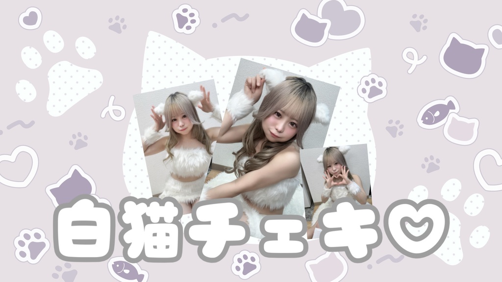 数量限定！白猫チェキ！