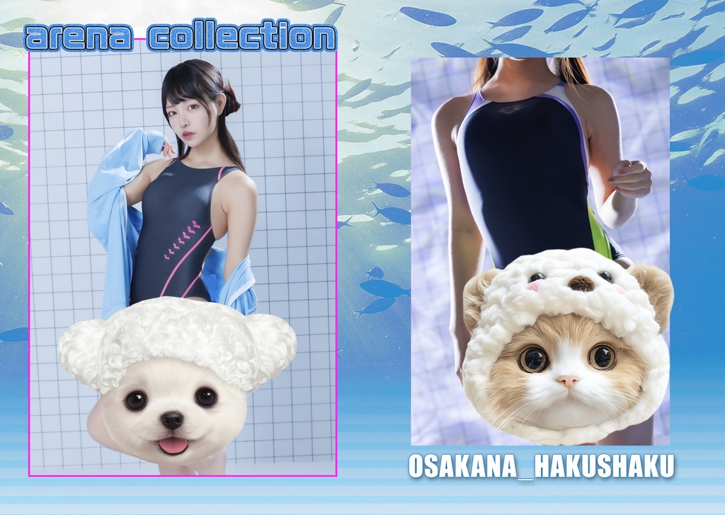 アリーナコレクション【写真集】