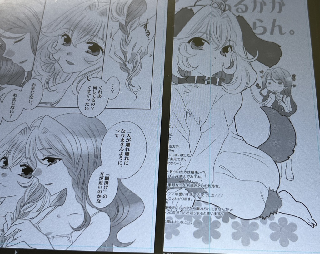 【名探偵プリキュア】「MysteriousEye!3」レイフレ新刊