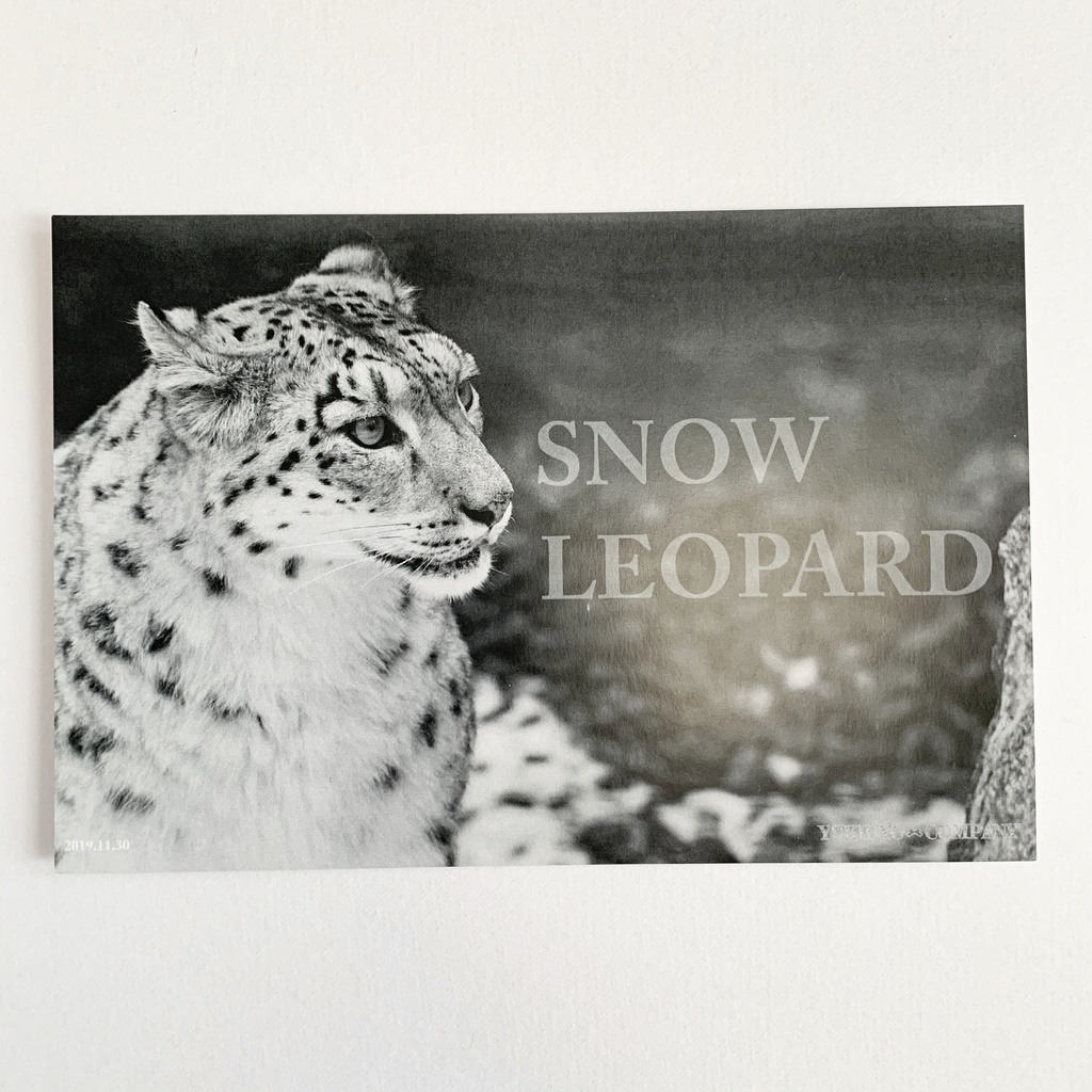 【2/2新作】フォトカード第2弾